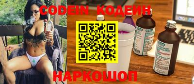 шишки Кимры