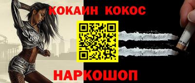 шишки Кимры