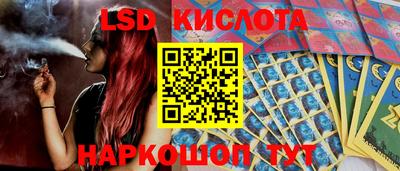шишки Кимры
