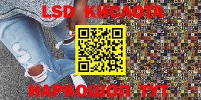 шишки Кимры