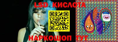 шишки Кимры