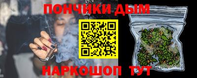 шишки Кимры