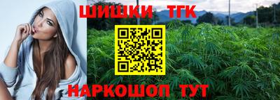 шишки Кимры