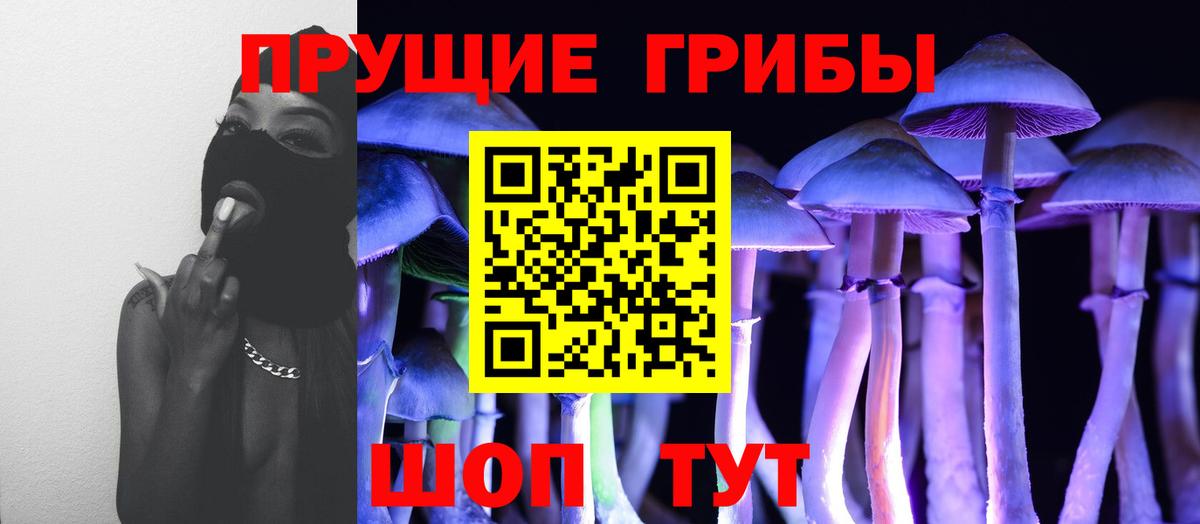 Псилоцибиновые грибы мицелий Коммунар